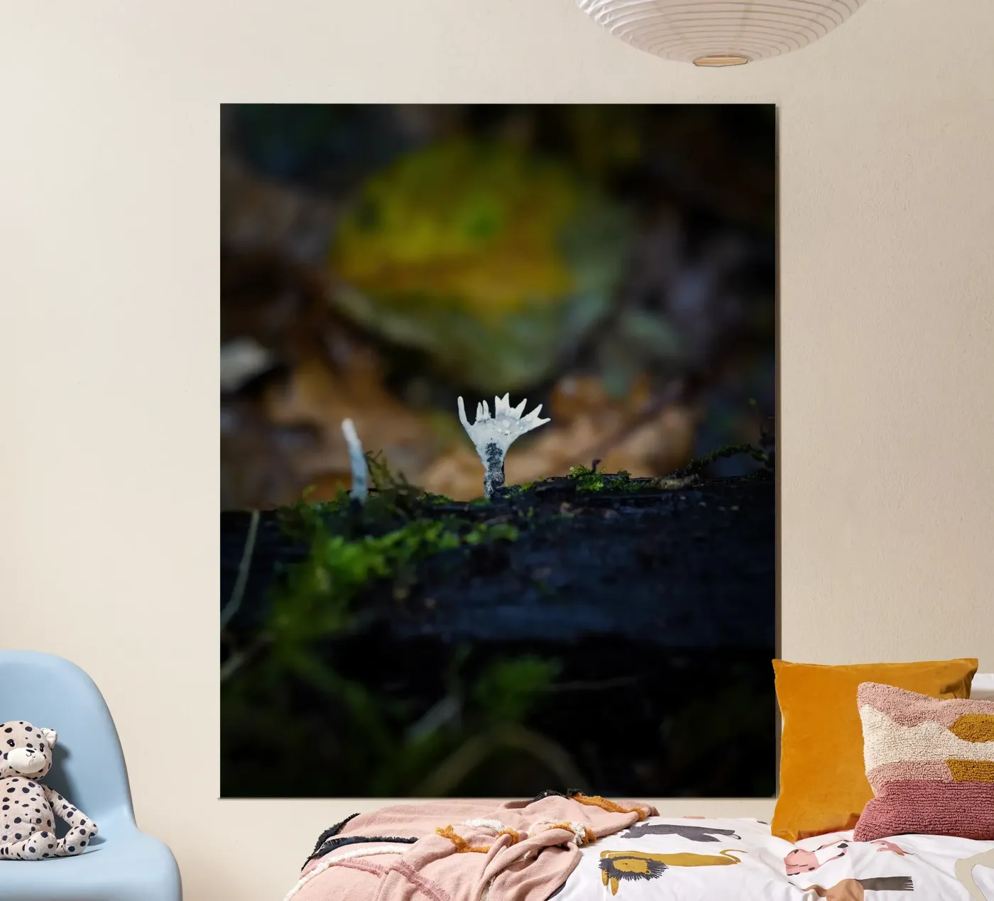 Pilze Poster von Tom's Wildlife