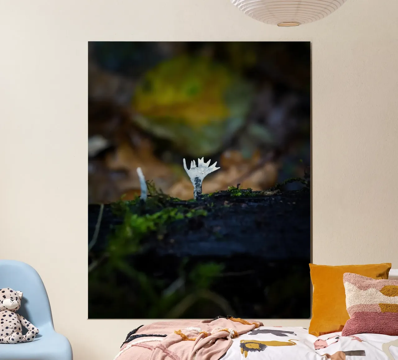 Funghi poster da Tom's Wildlife