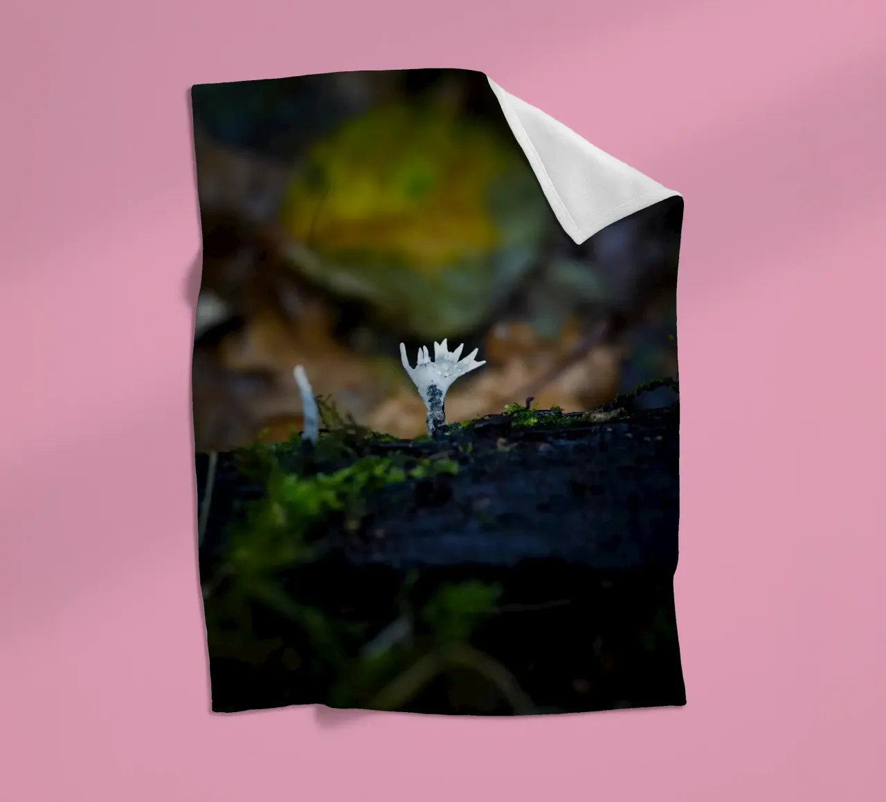 Champignons fleecedeken van Tom's Wildlife