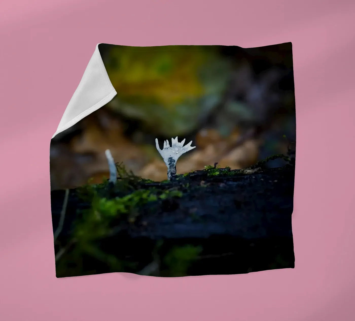 Mushrooms fleece blanket by Tom's Wildlife