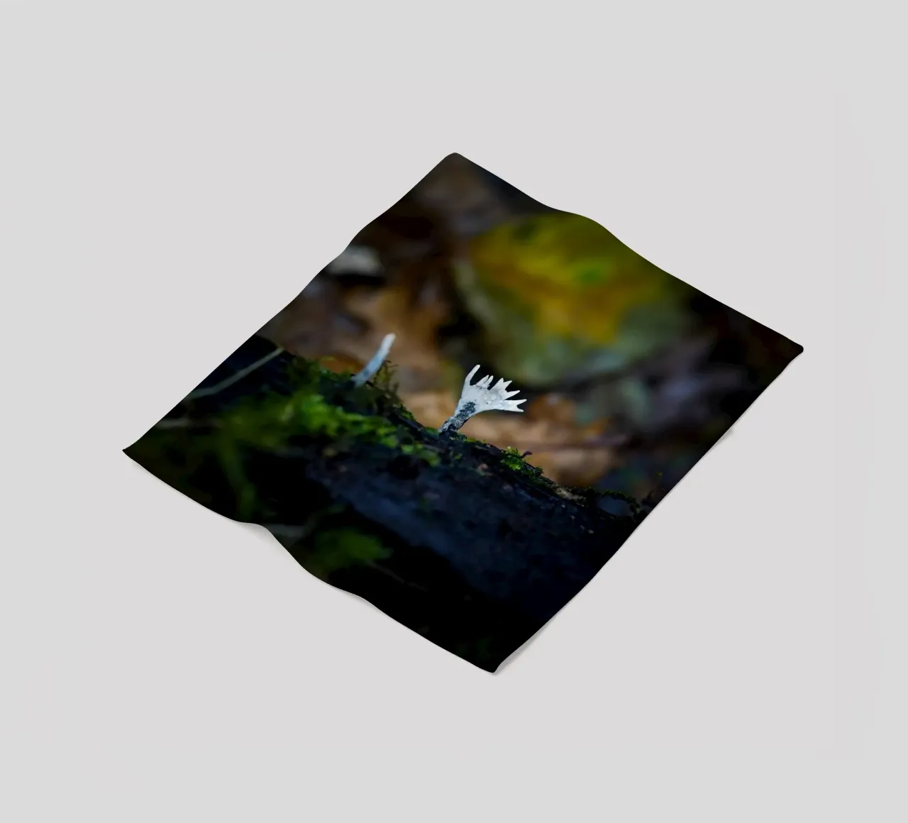 Champignons fleecedeken van Tom's Wildlife