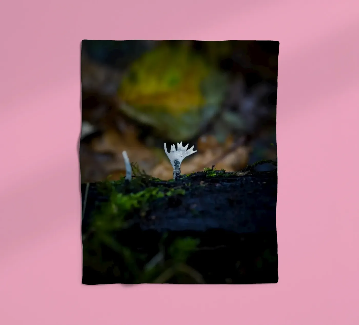 Mushrooms fleece blanket by Tom's Wildlife