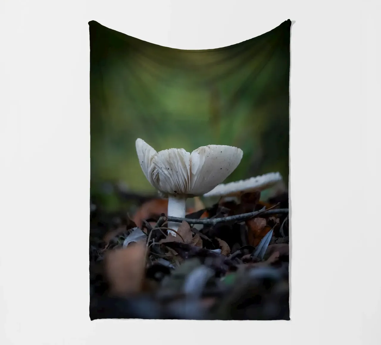 Funghi in autumn coperta in pile da Tom's Wildlife