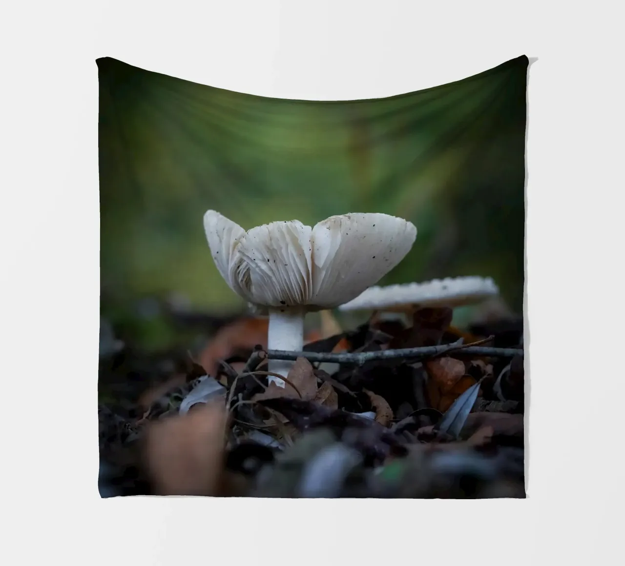Funghi in autumn coperta in pile da Tom's Wildlife