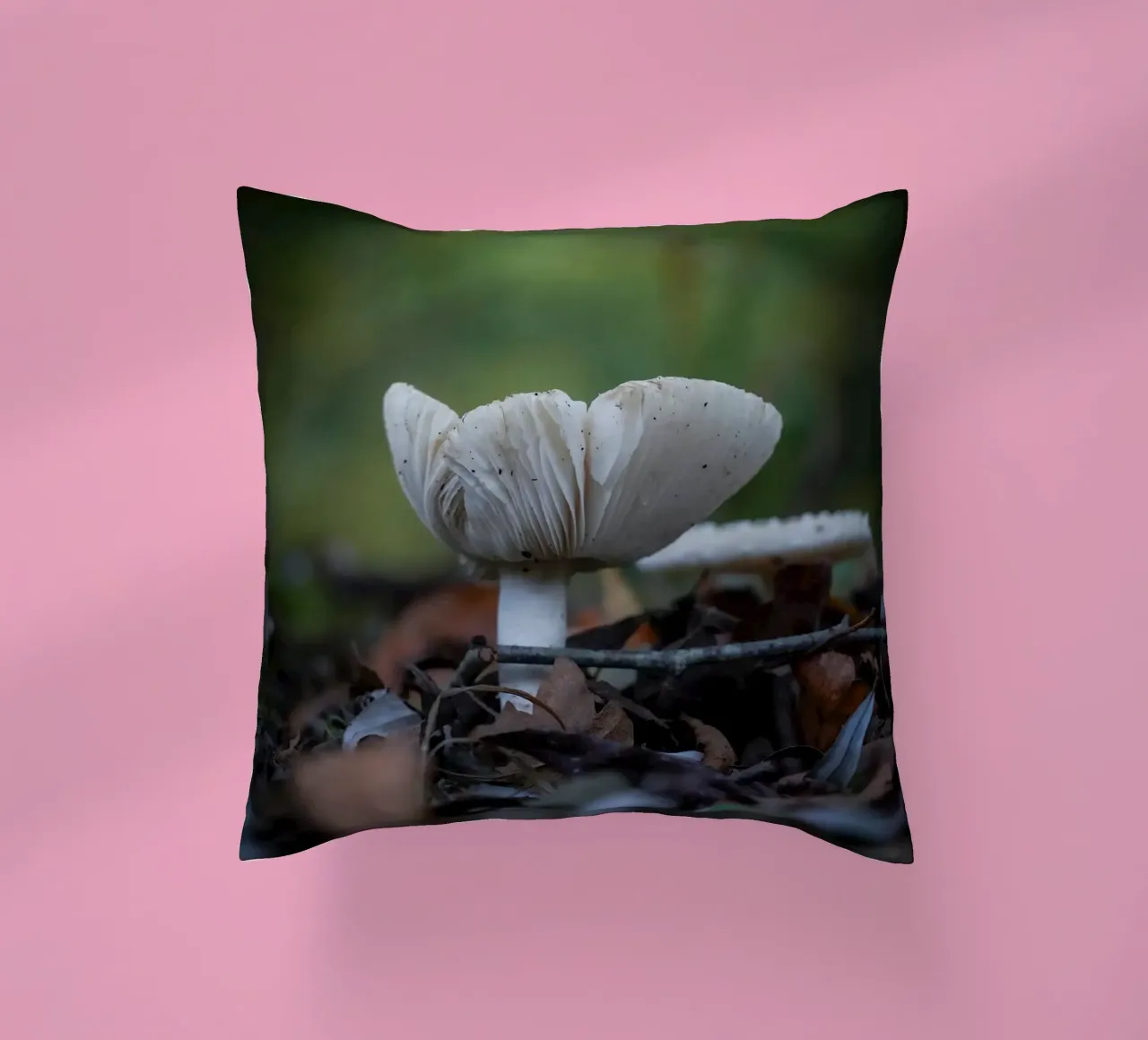 Funghi in autumn cuscino da Tom's Wildlife