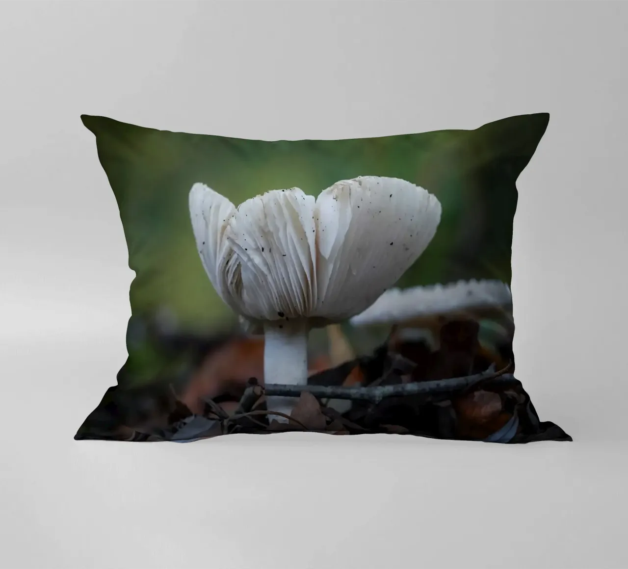 Funghi in autumn cuscino da Tom's Wildlife