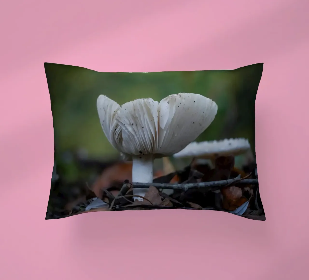 Funghi in autumn cuscino da Tom's Wildlife