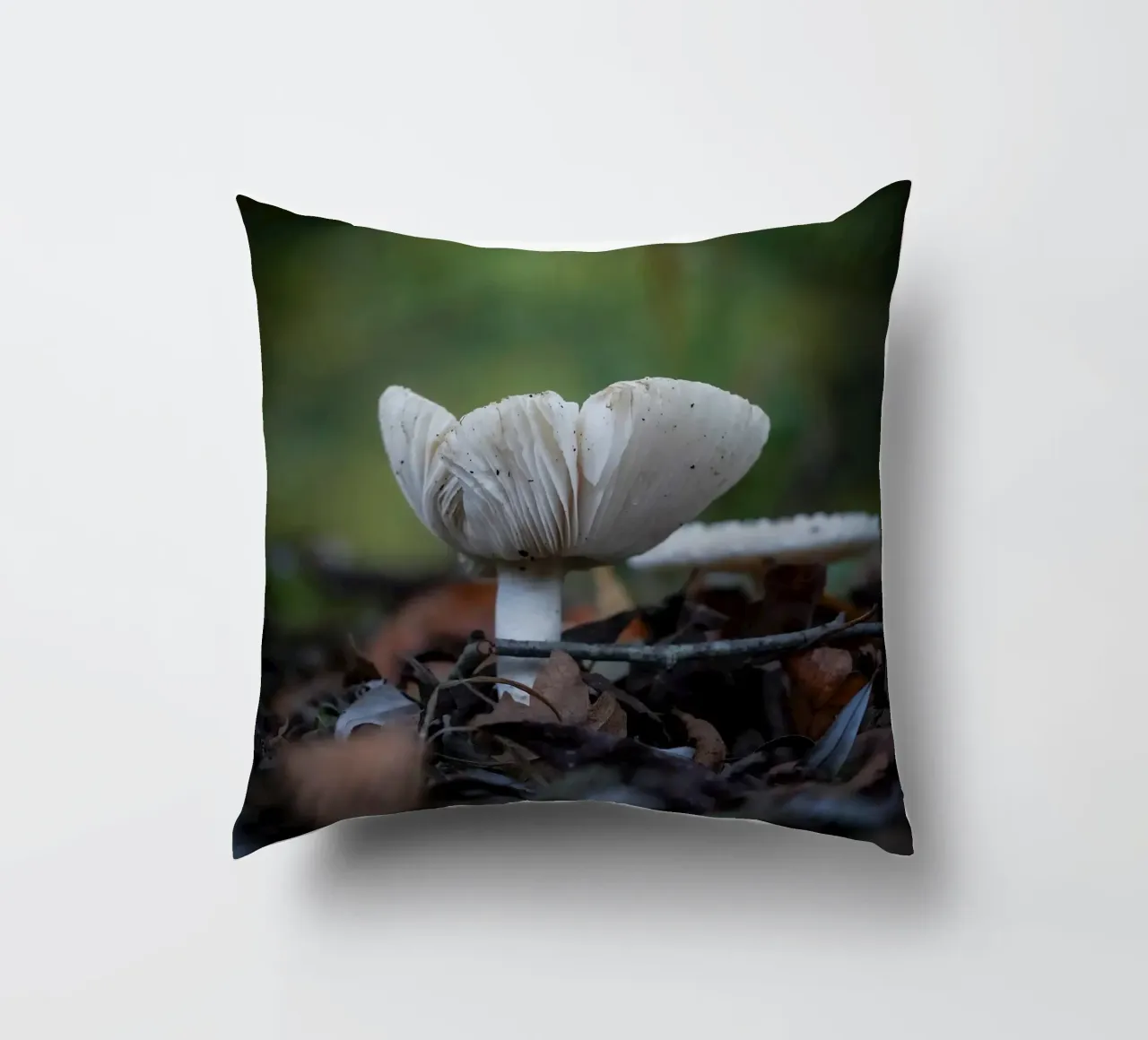 Funghi in autumn cuscino da Tom's Wildlife