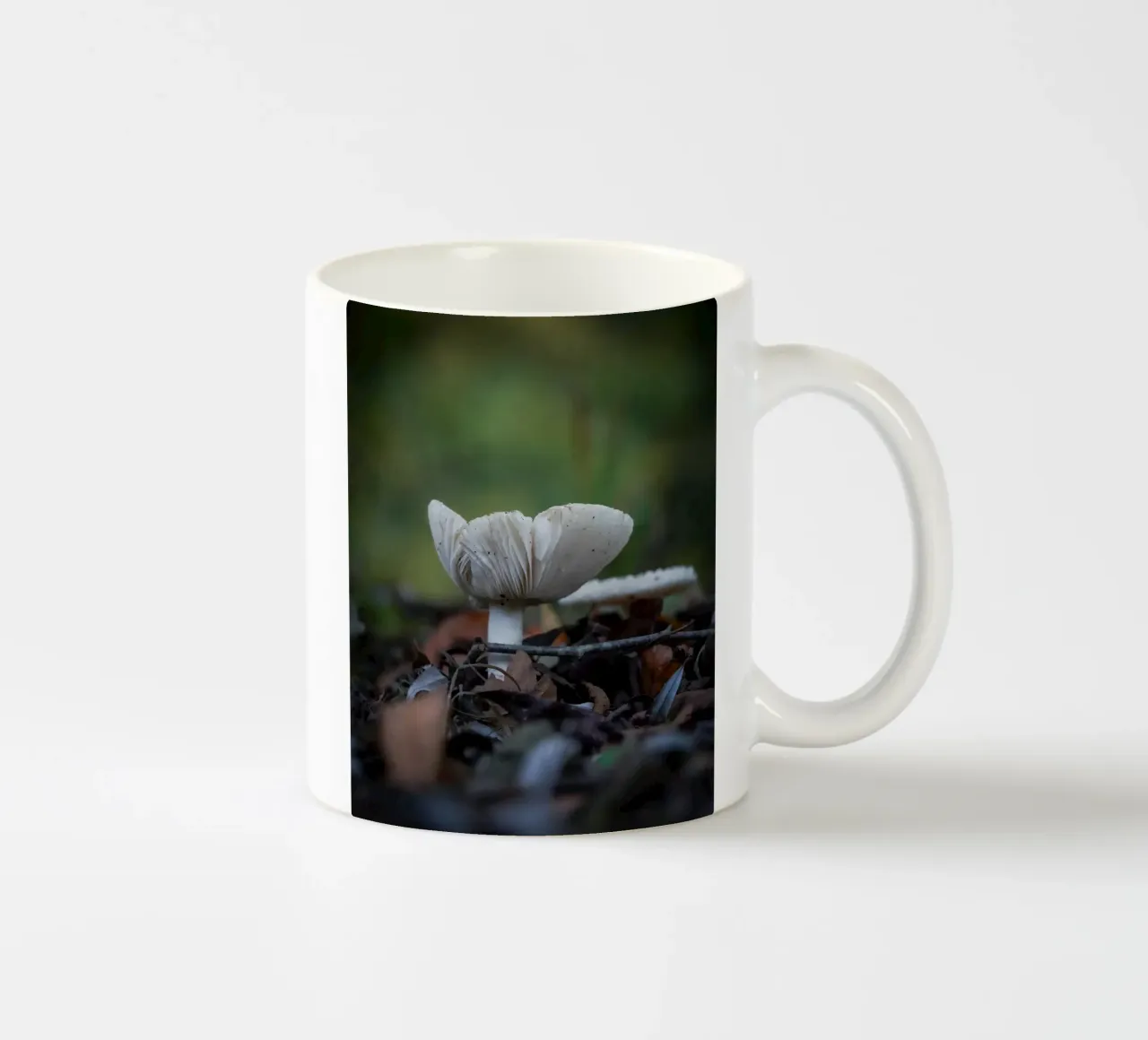 Funghi in autumn tazza in ceramica da Tom's Wildlife