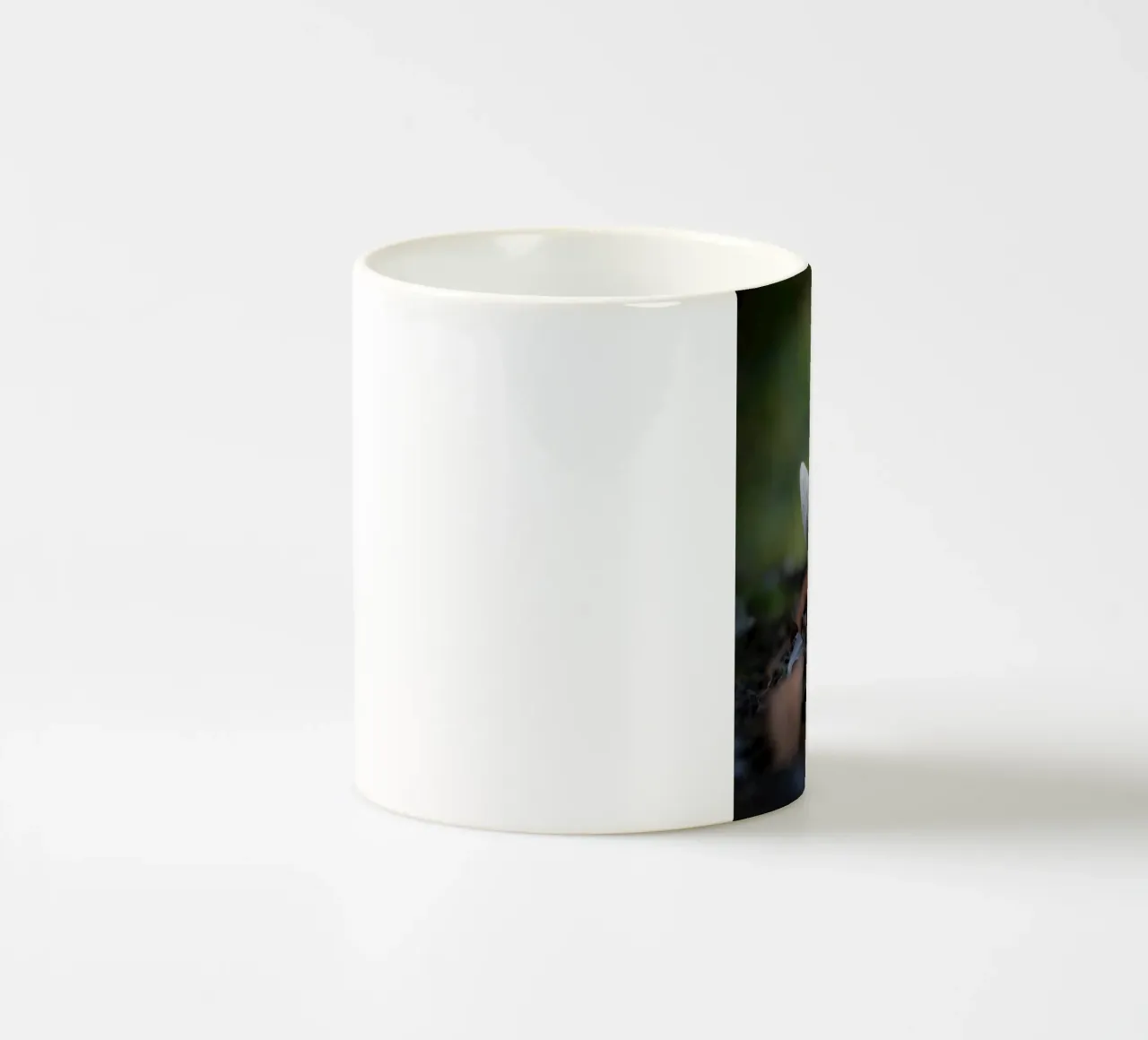 Funghi in autumn tazza in ceramica da Tom's Wildlife