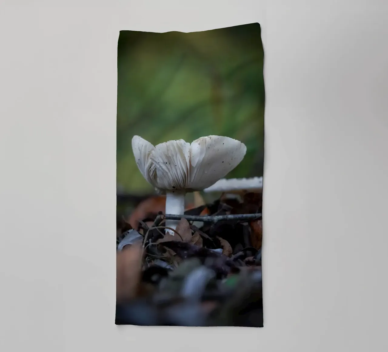 Funghi in autumn asciugamano da bagno da Tom's Wildlife