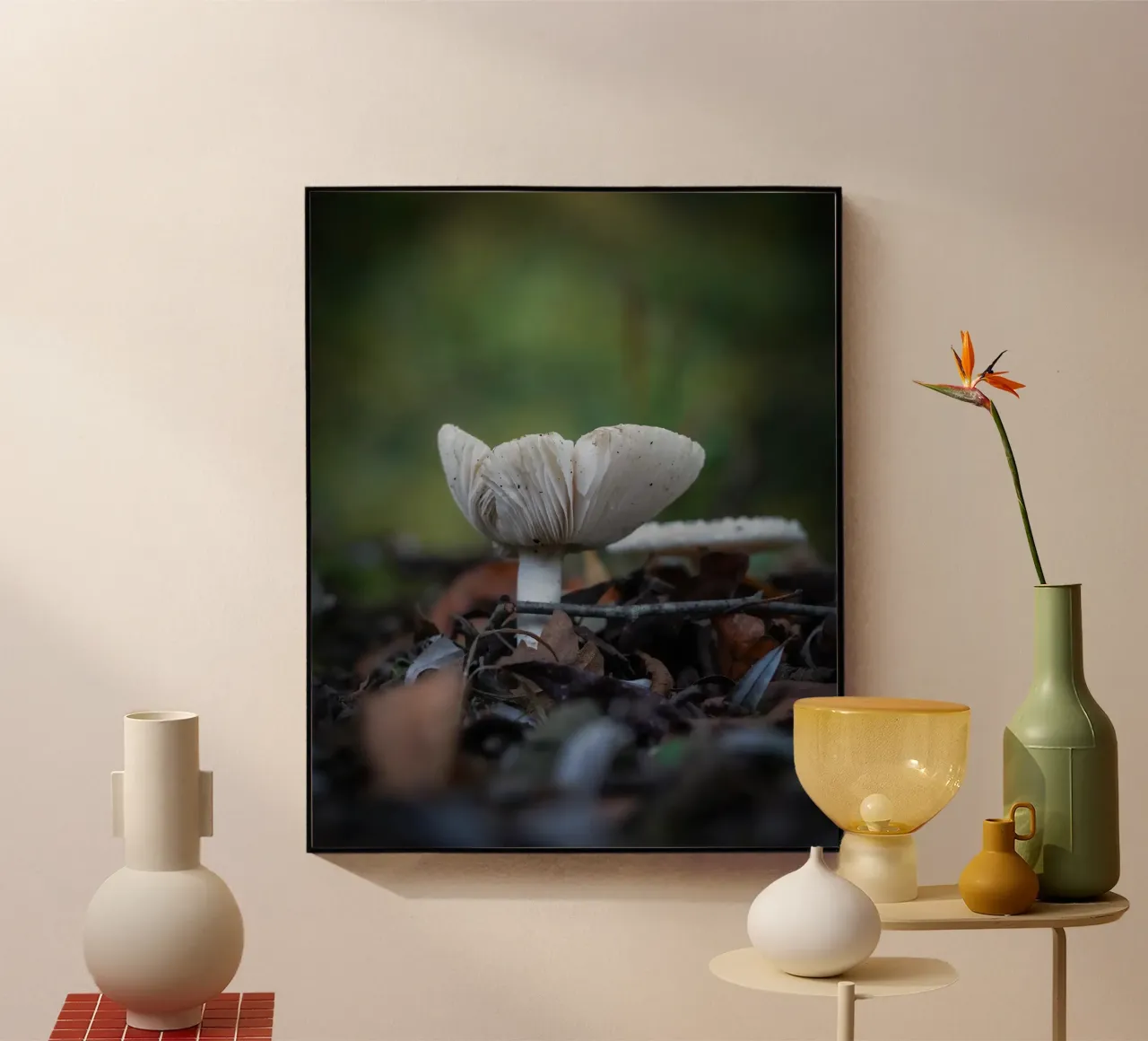 Funghi in autumn plexiglass da Tom's Wildlife