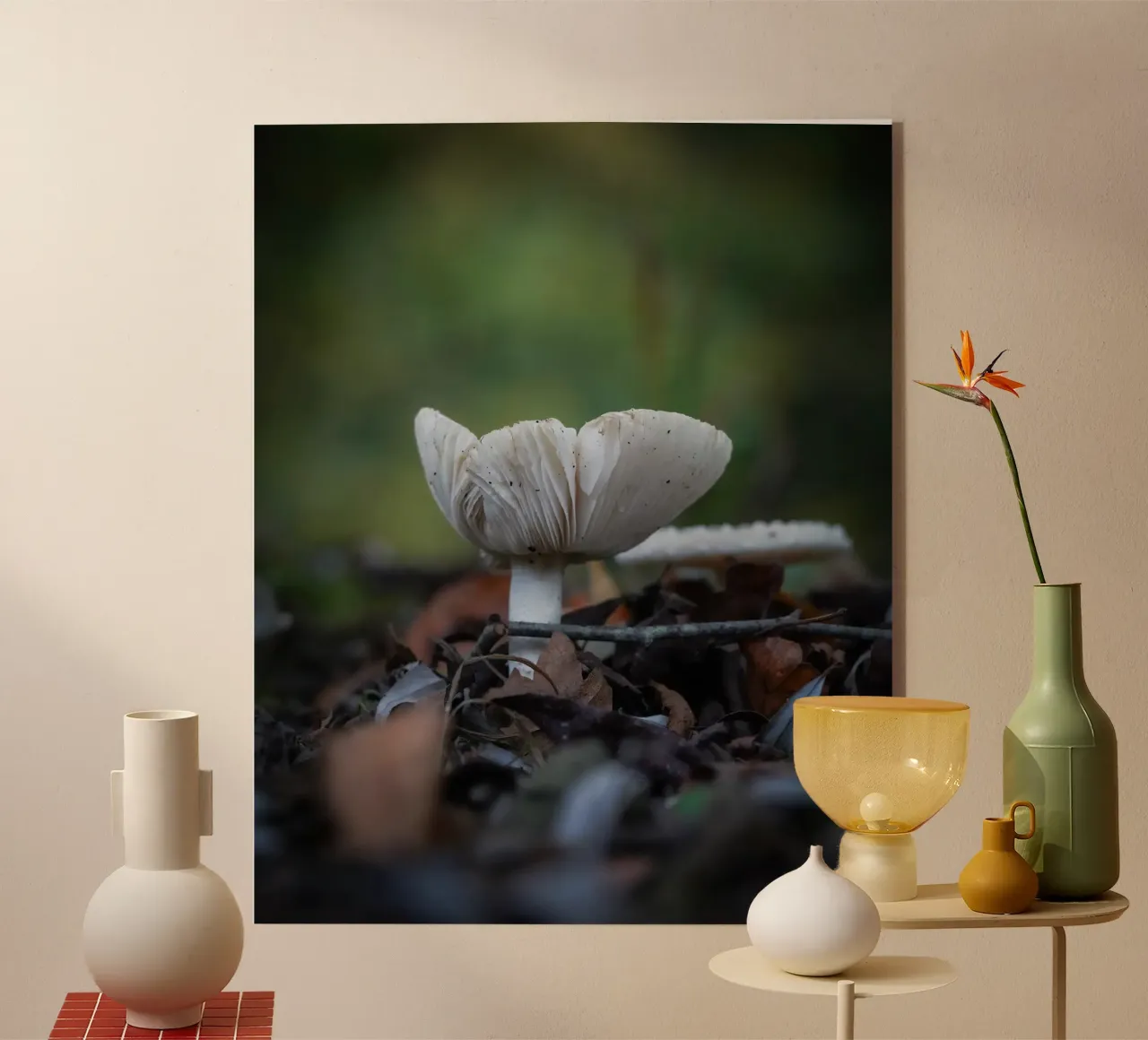 Funghi in autumn plexiglass da Tom's Wildlife
