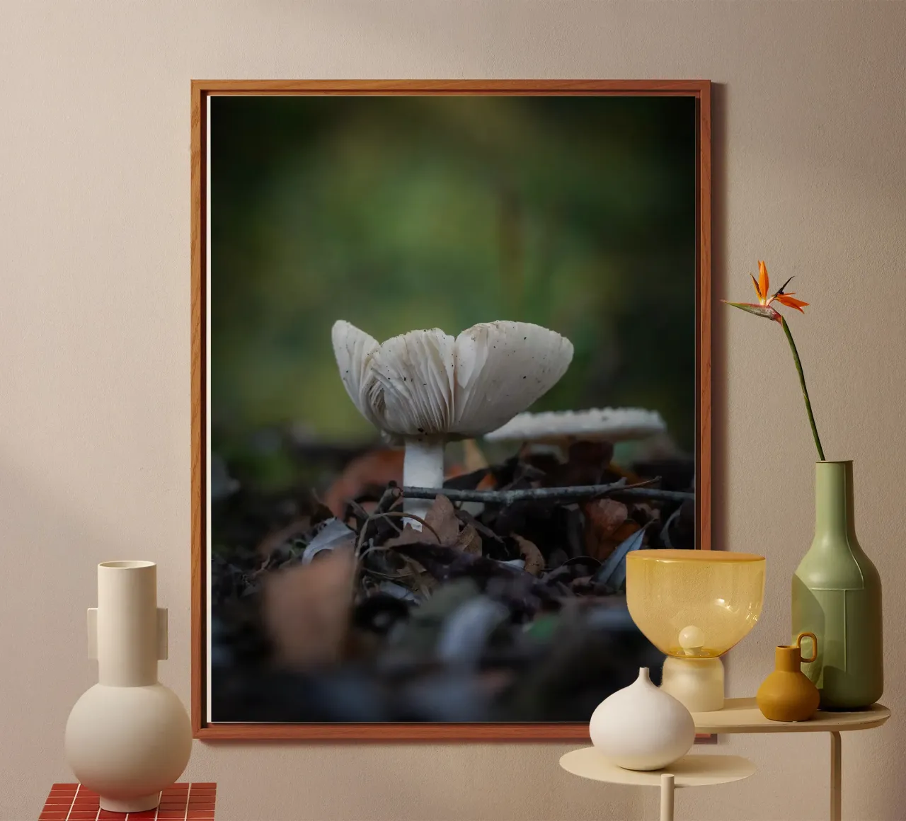 Funghi in autumn alluminio dibond da Tom's Wildlife