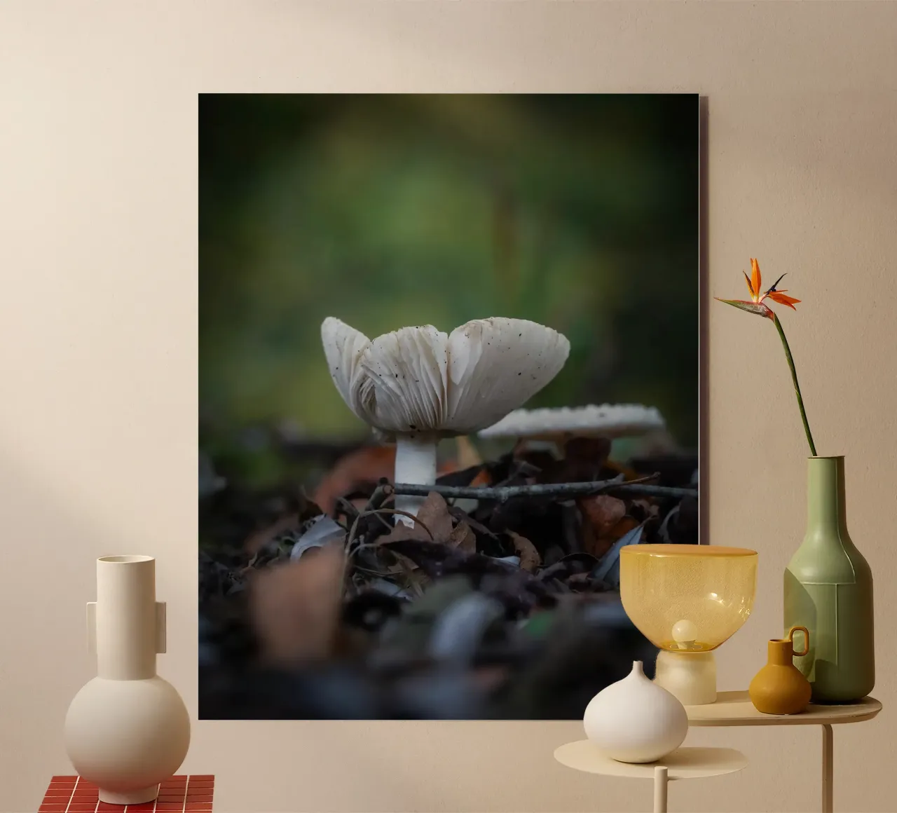 Funghi in autumn alluminio dibond da Tom's Wildlife