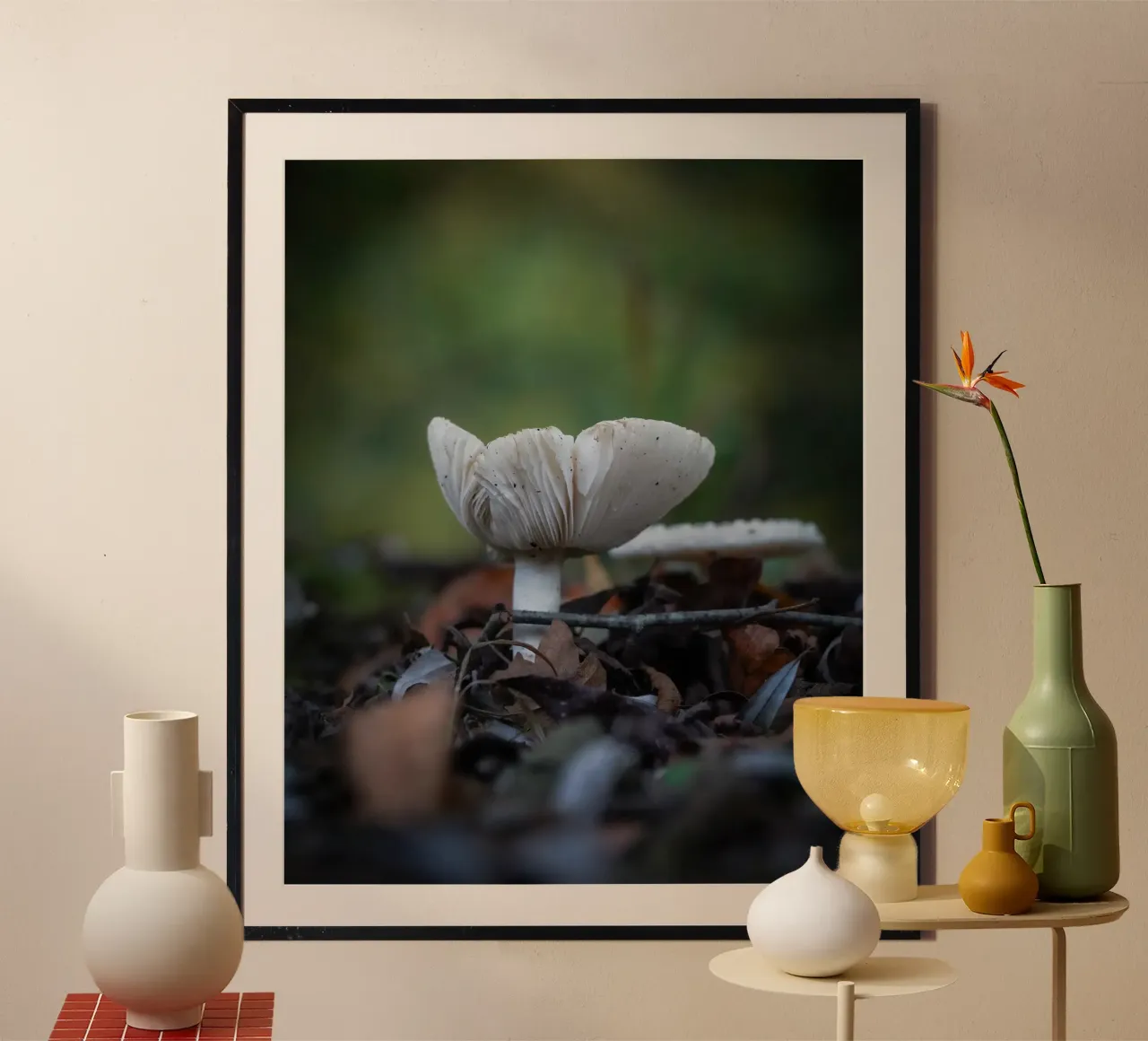 Funghi in autumn carta hahnemühle da Tom's Wildlife