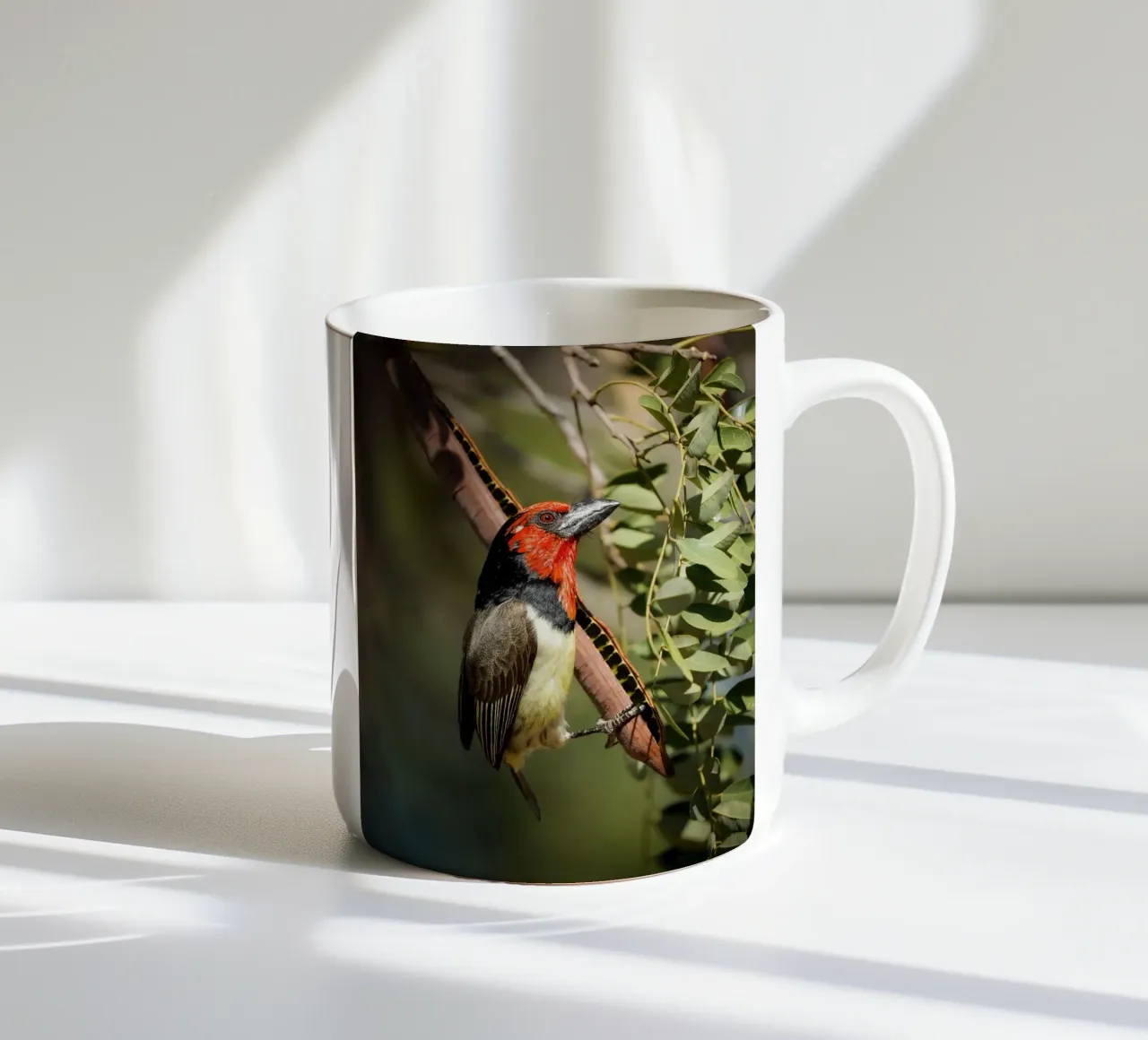 Barbetto dal collare nero tazza in ceramica da Tom's Wildlife