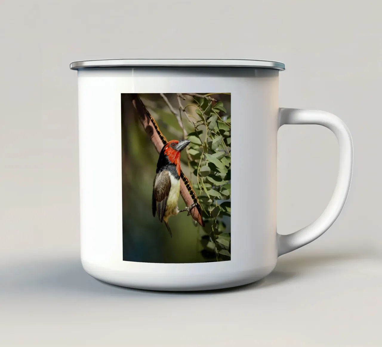 Barbetto dal collare nero tazza in smalto da Tom's Wildlife