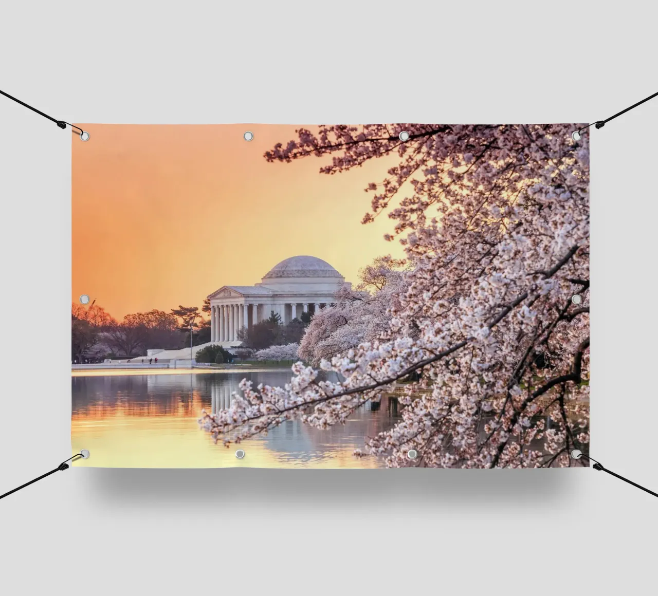 Jefferson Memorial e fiori di ciliegio, Washington, D.C., USA telo in pvc da Wanderlust Vibes