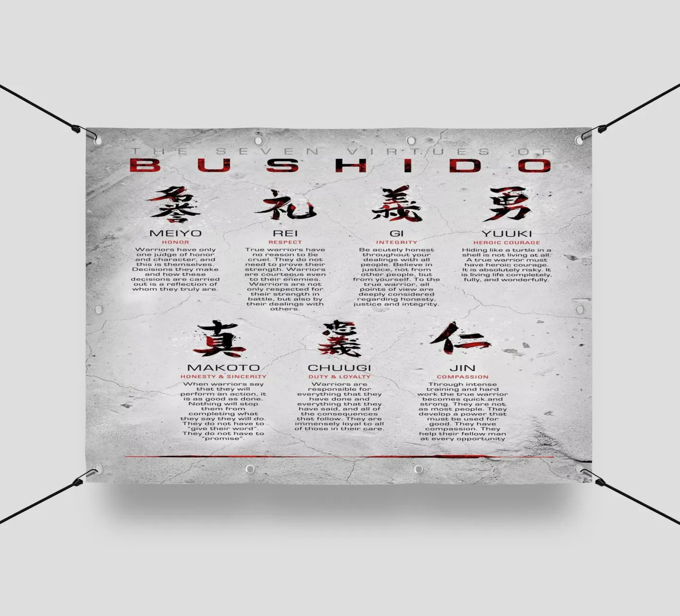 Bushido Code telo in pvc da nabakumov