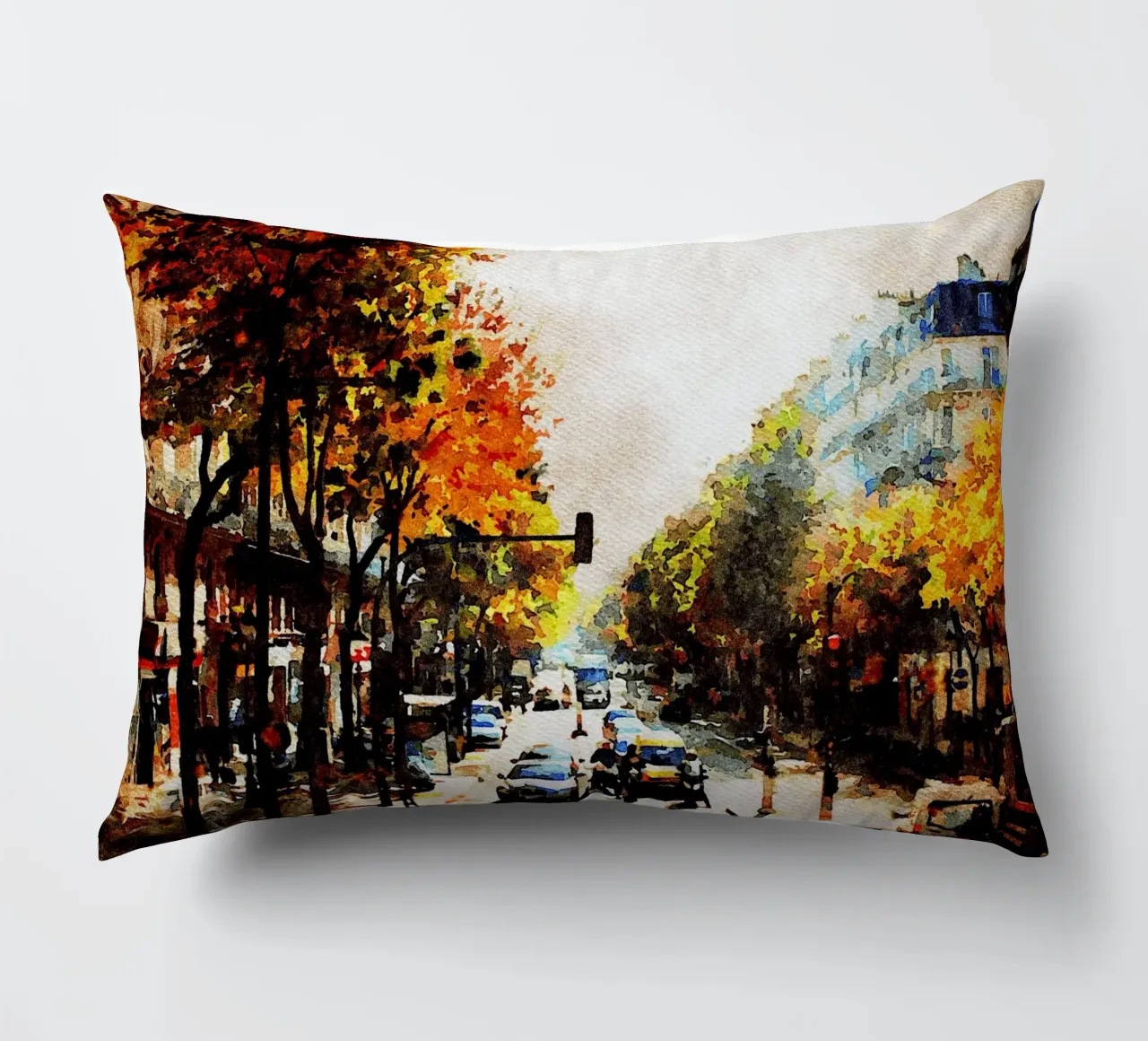 A Parigi cuscino da Massimo Frascogna