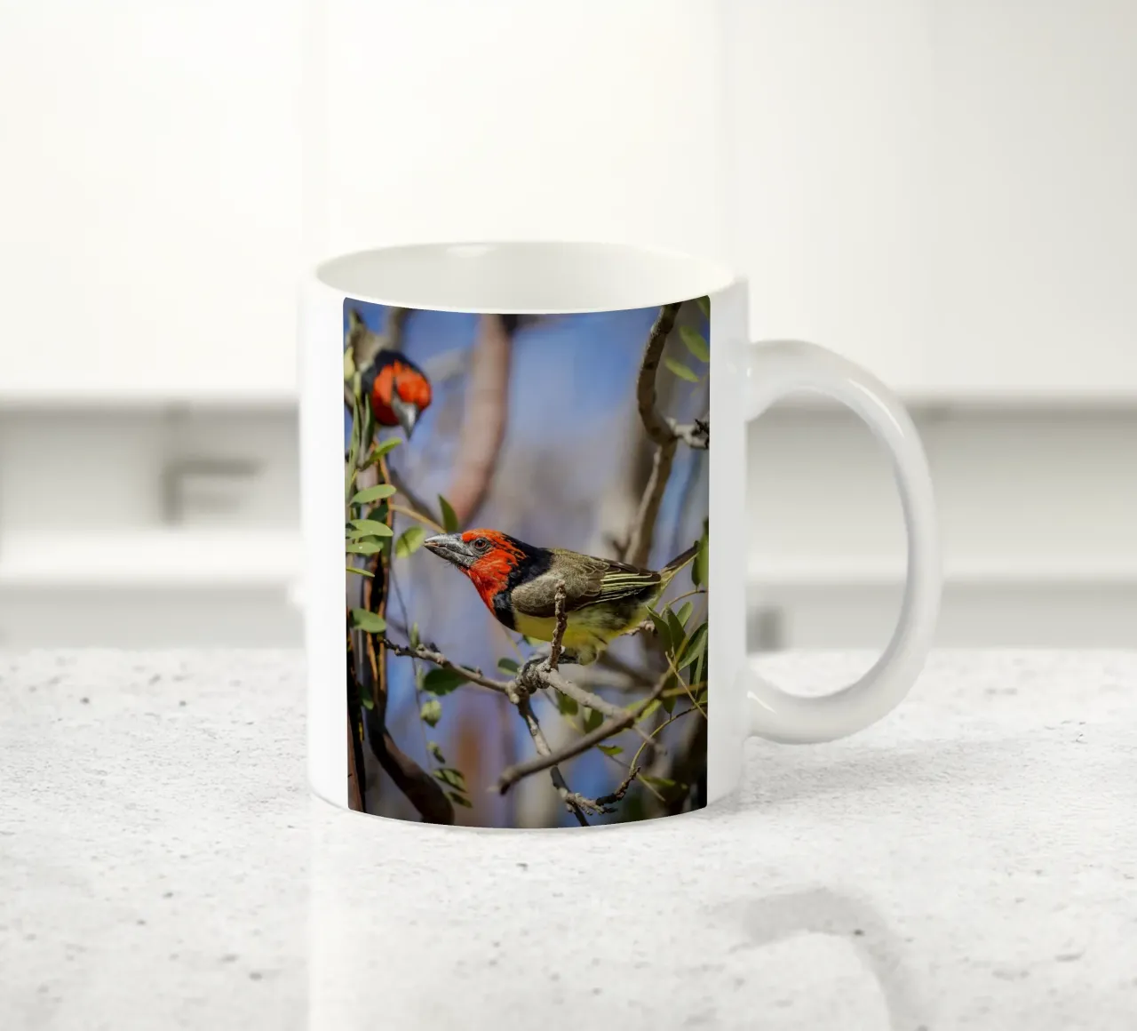 Barbetto dal collare nero tazza in ceramica da Tom's Wildlife