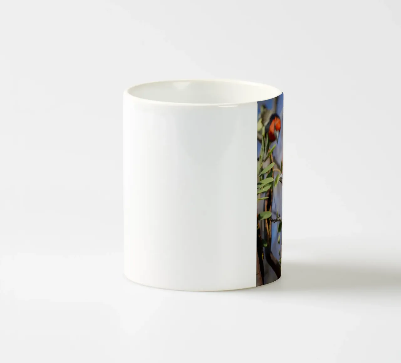 Barbetto dal collare nero tazza in ceramica da Tom's Wildlife