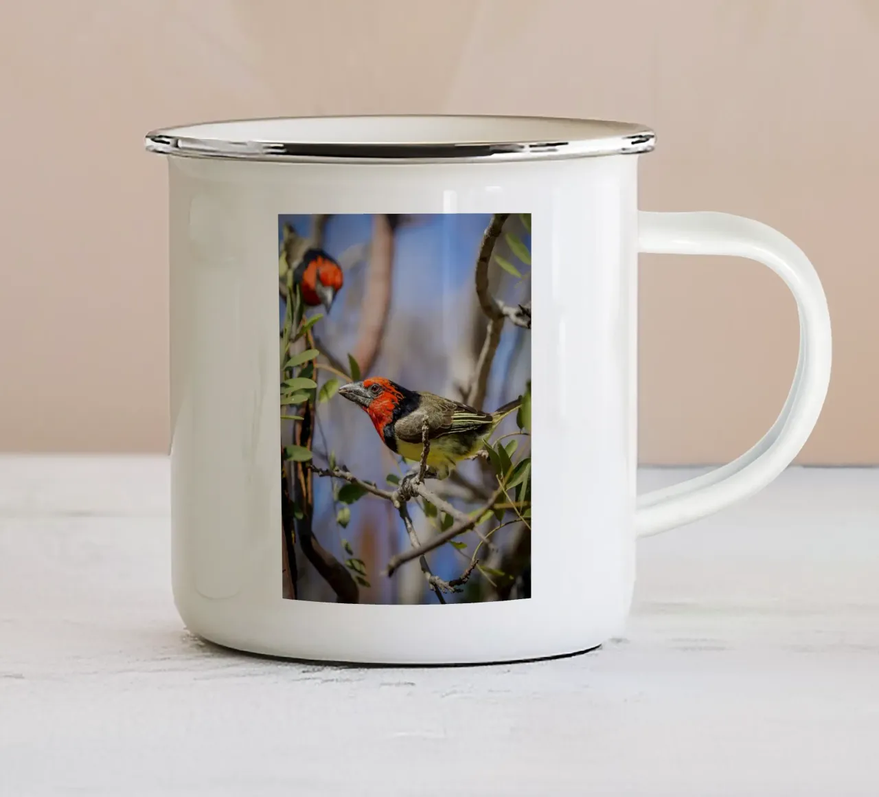 Barbetto dal collare nero tazza in smalto da Tom's Wildlife
