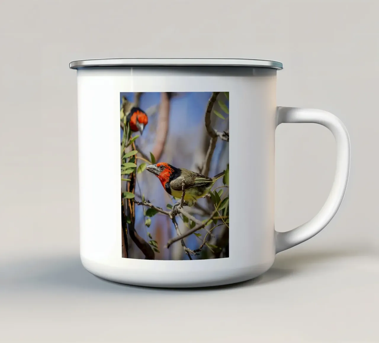 Barbetto dal collare nero tazza in smalto da Tom's Wildlife