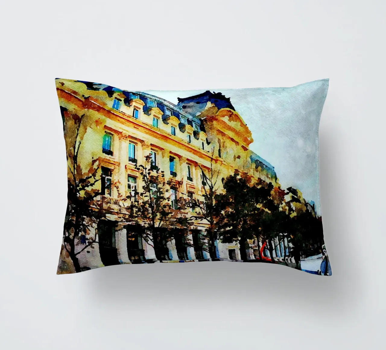 A Parigi cuscino da Massimo Frascogna