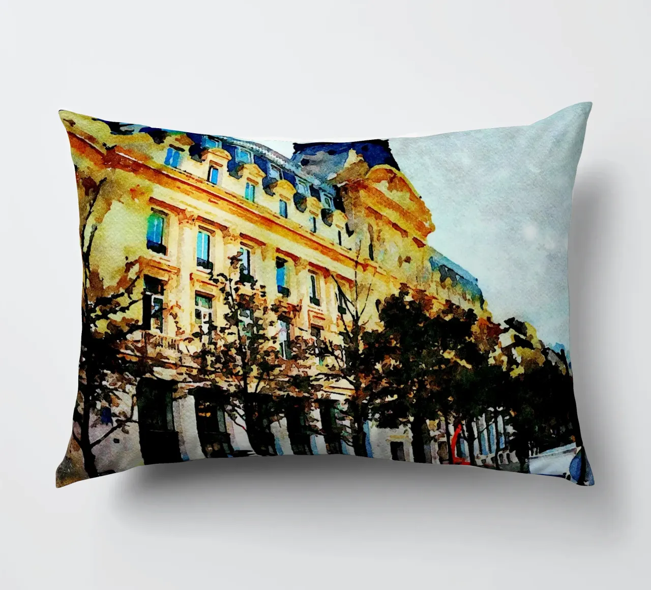 A Parigi cuscino da Massimo Frascogna