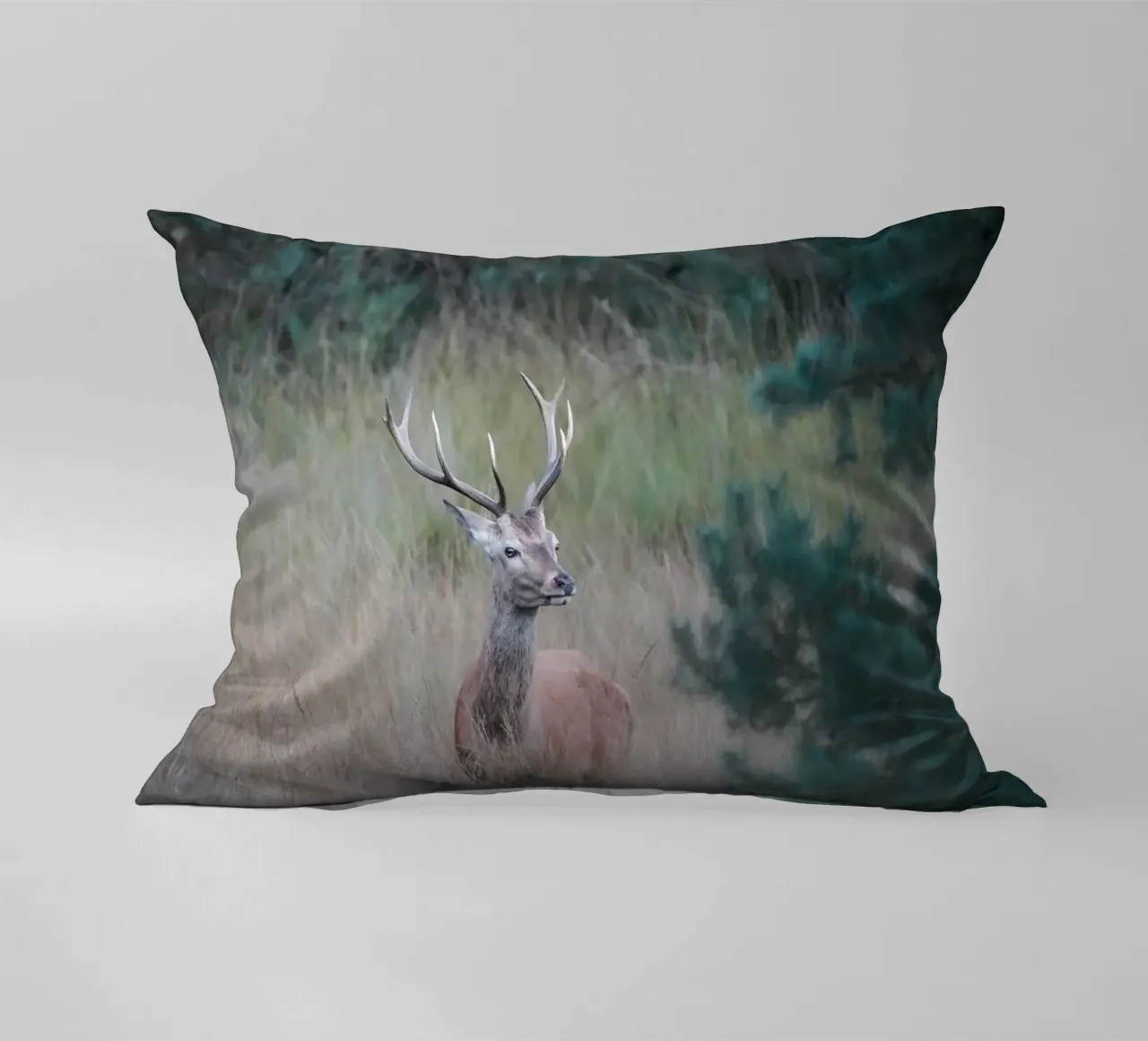Cervo rosso cuscino da Tom's Wildlife