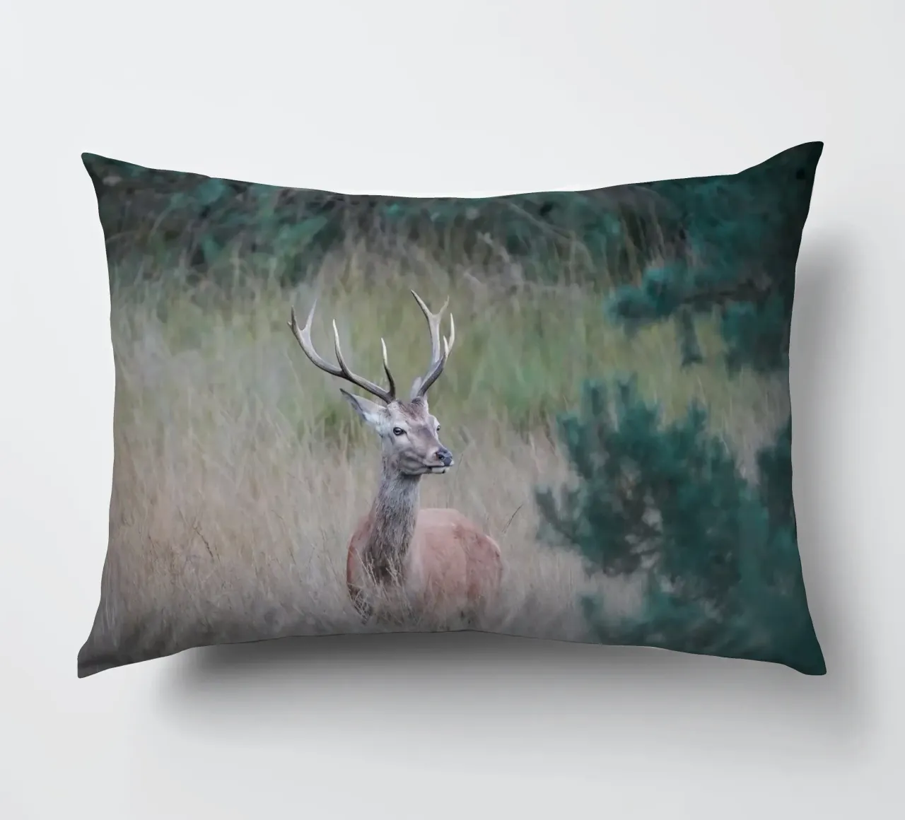 Cervo rosso cuscino da Tom's Wildlife