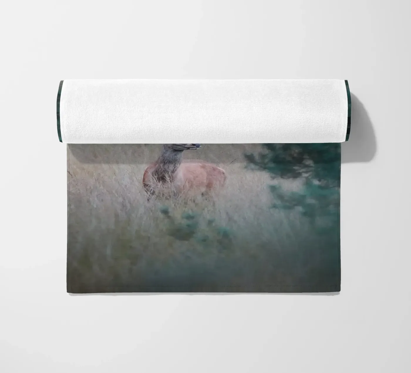 Cervo rosso telo mare da Tom's Wildlife