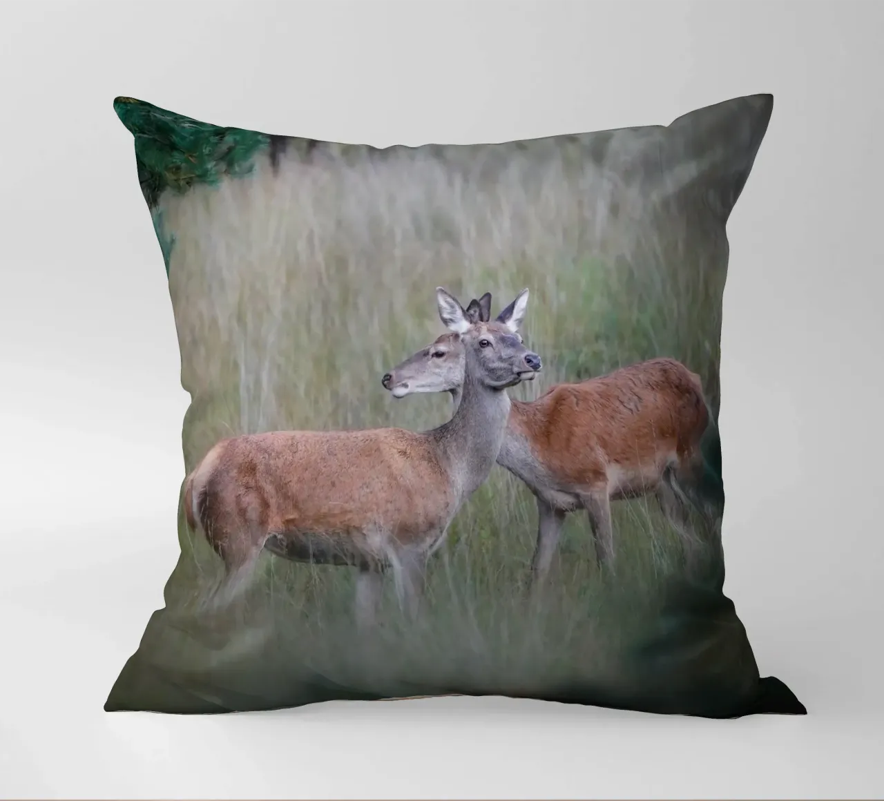 Femmine di cervo rosso cuscino da Tom's Wildlife