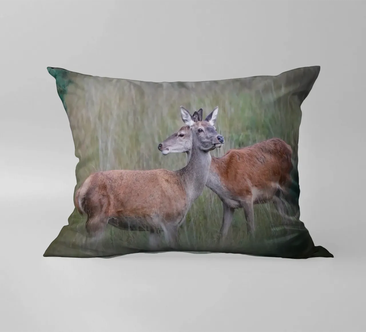 Femmine di cervo rosso cuscino da Tom's Wildlife