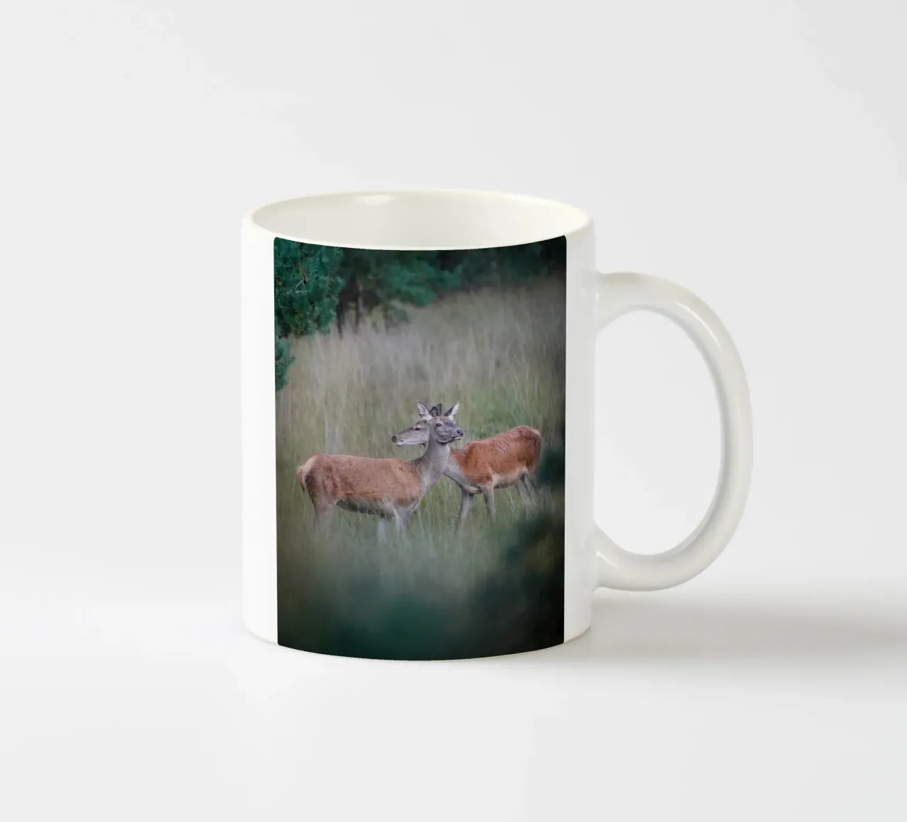 Femmine di cervo rosso tazza in ceramica da Tom's Wildlife