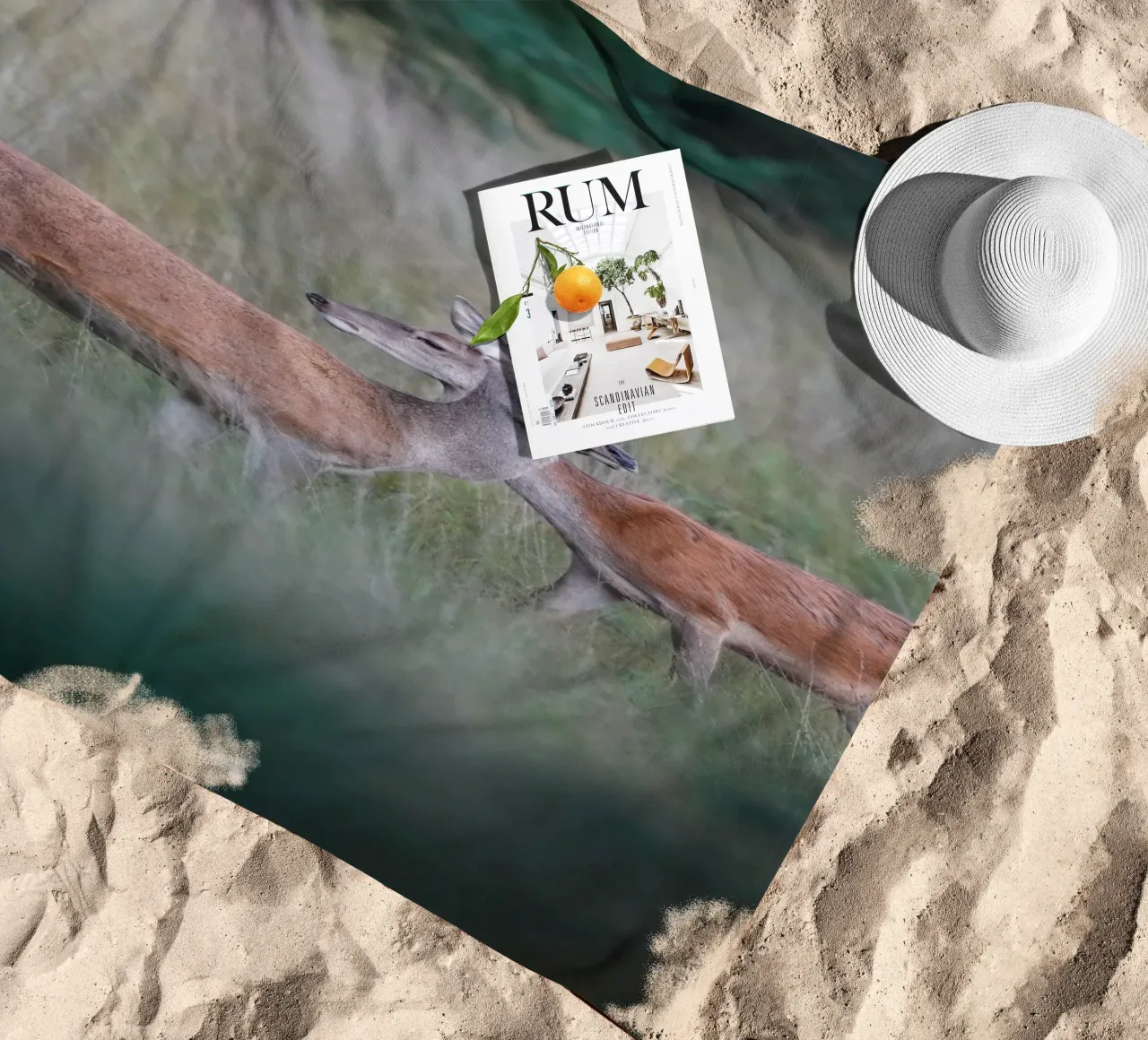 Femmine di cervo rosso telo mare da Tom's Wildlife