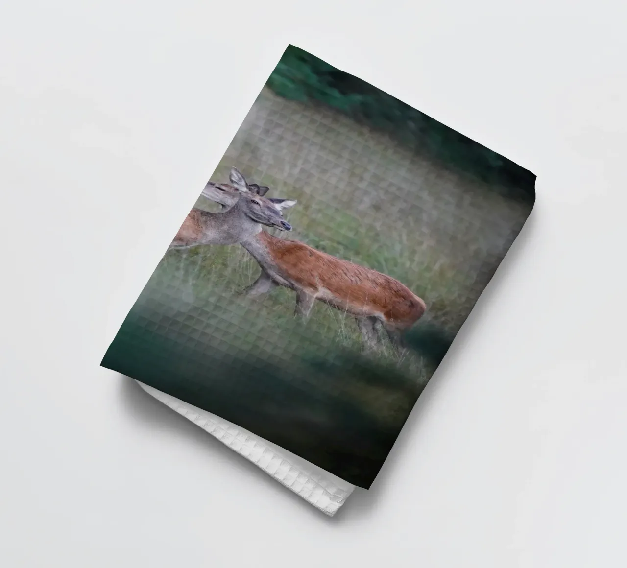 Femmine di cervo rosso canovaccio da cucina da Tom's Wildlife