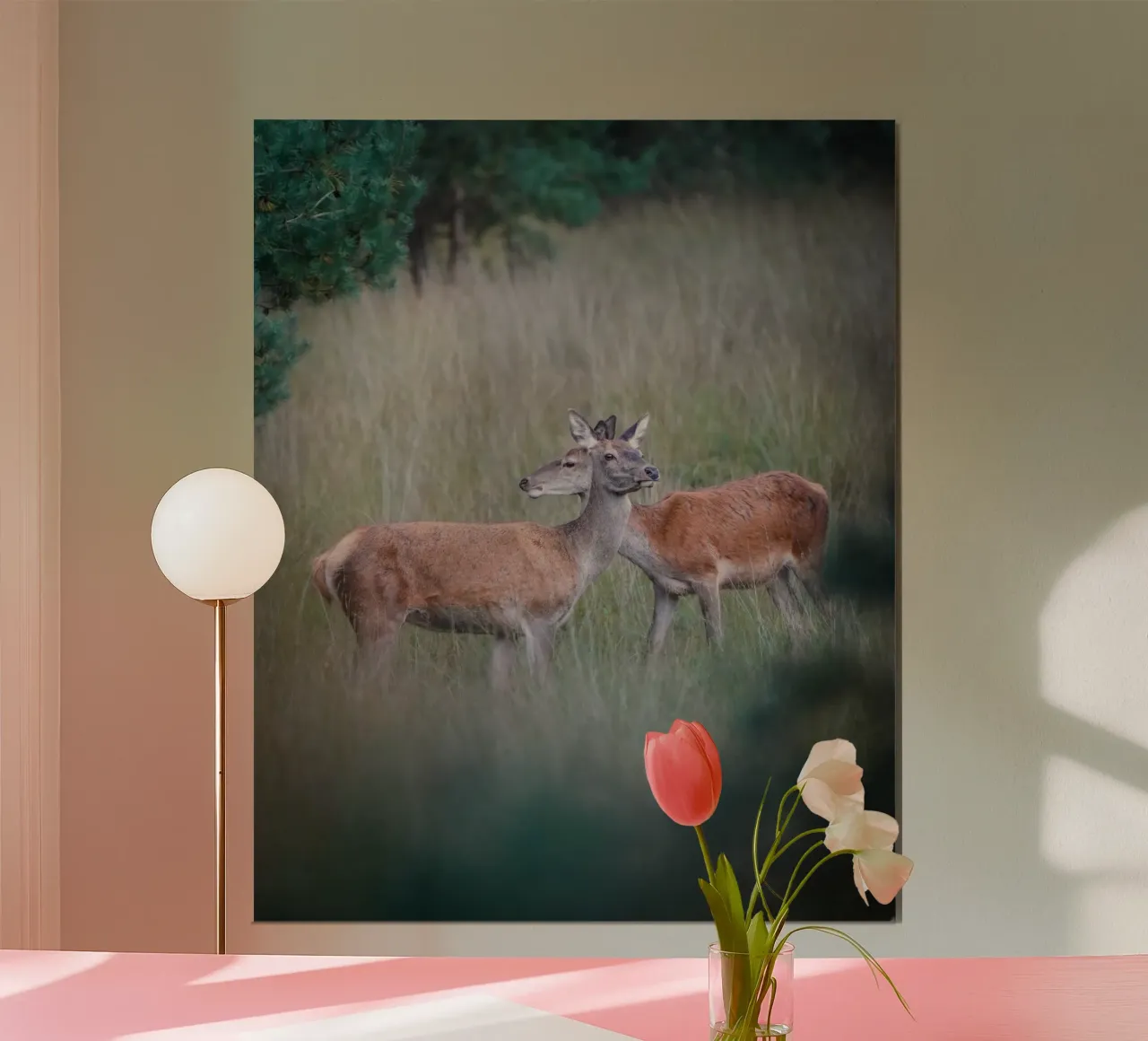 Femmine di cervo rosso carta hahnemühle da Tom's Wildlife