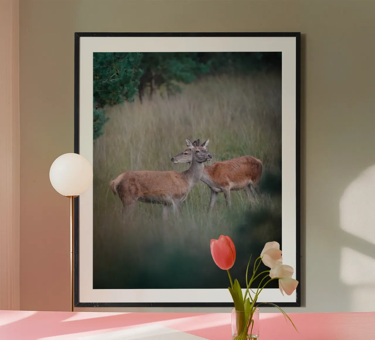 Femmine di cervo rosso carta hahnemühle da Tom's Wildlife