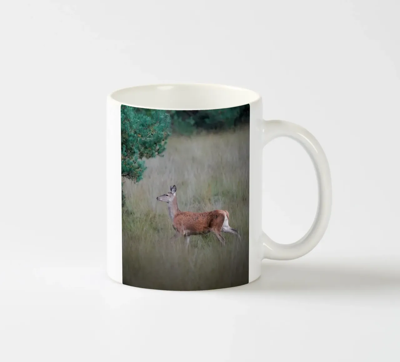 Cervo rosso nella foresta tazza in ceramica da Tom's Wildlife
