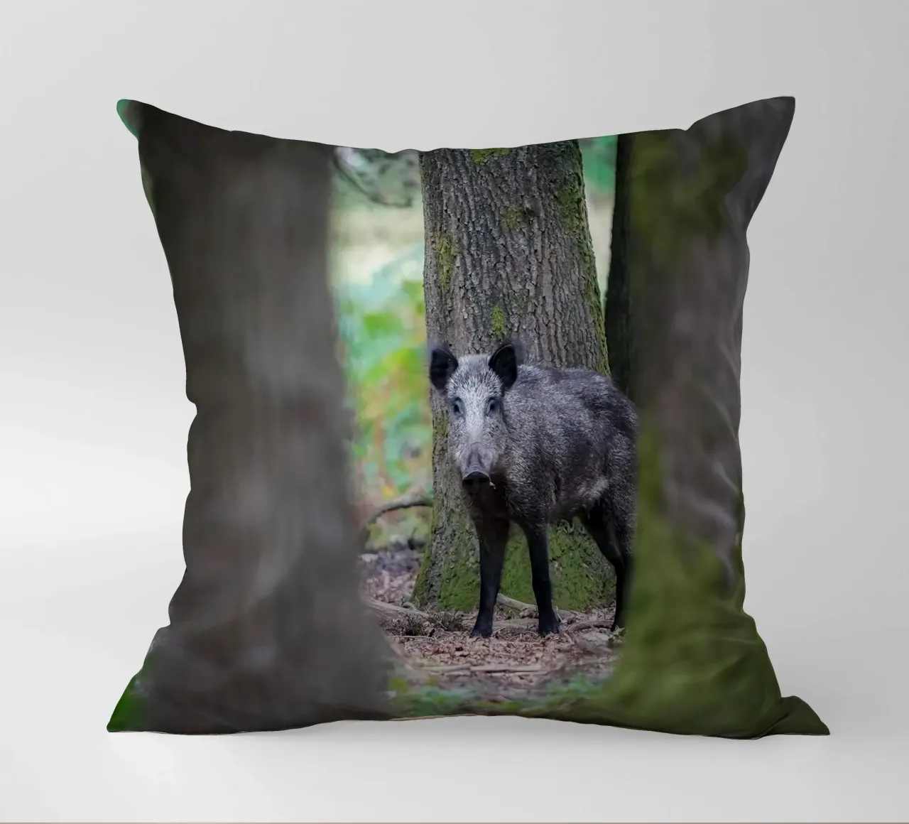 Cinghiale cuscino da Tom's Wildlife