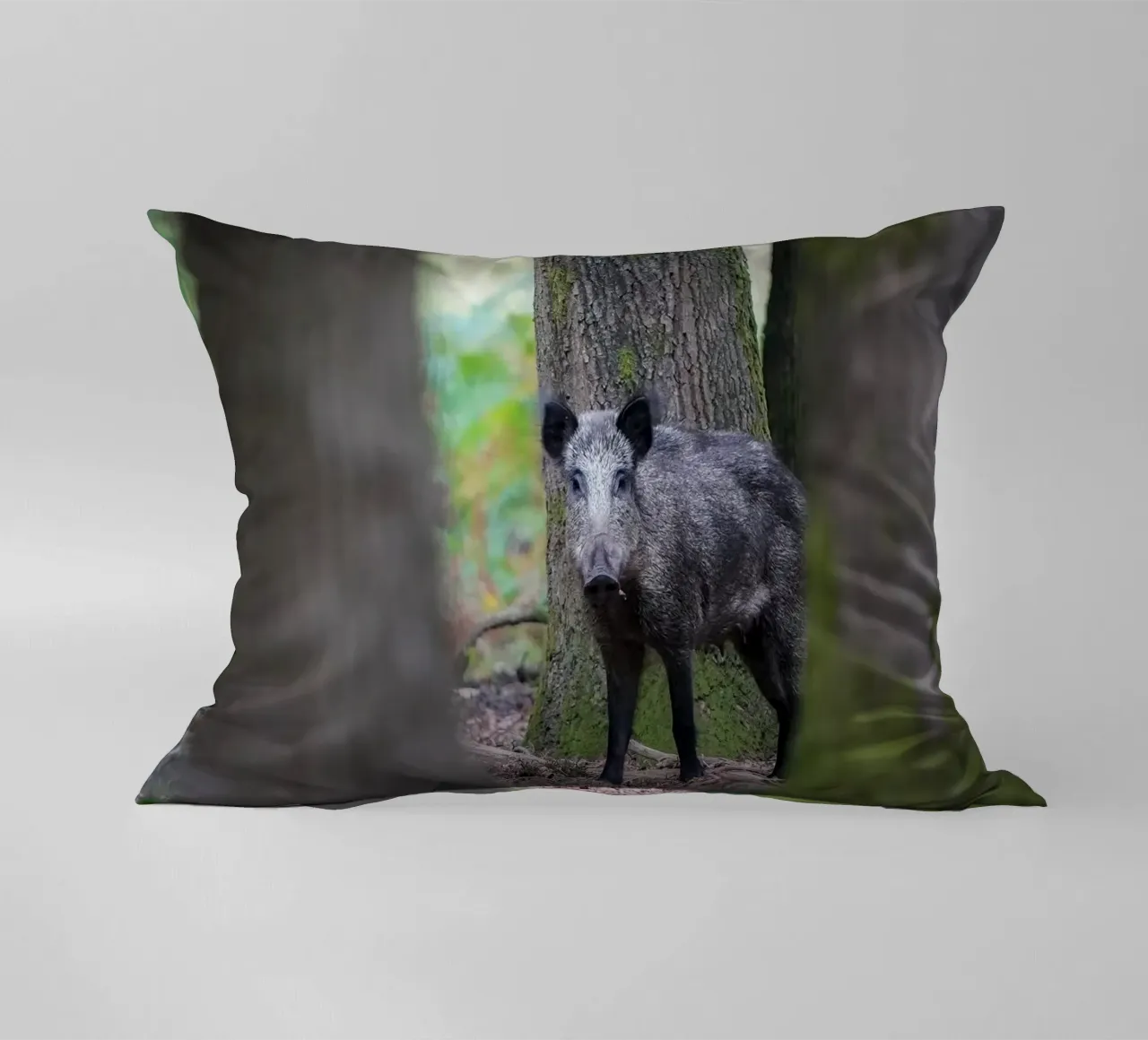 Cinghiale cuscino da Tom's Wildlife