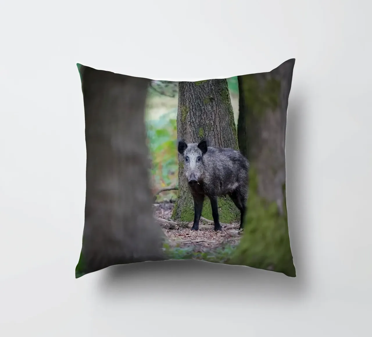 Cinghiale cuscino da Tom's Wildlife