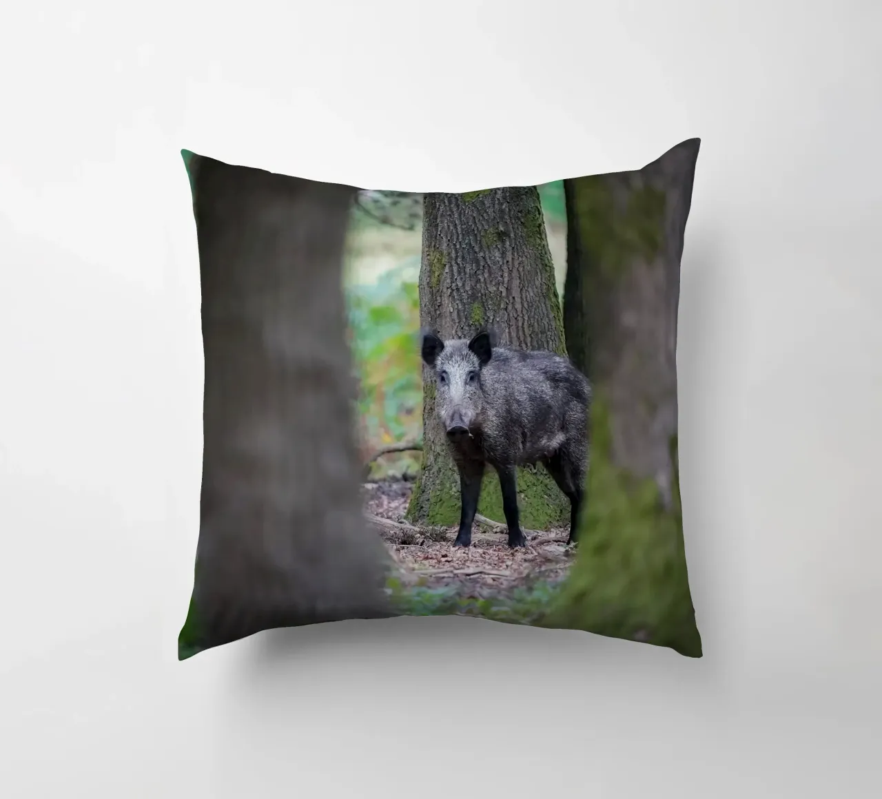 Cinghiale cuscino da Tom's Wildlife