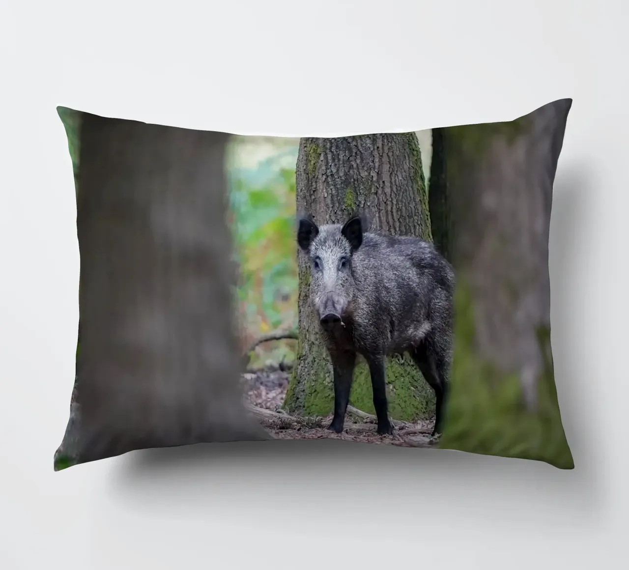 Cinghiale cuscino da Tom's Wildlife