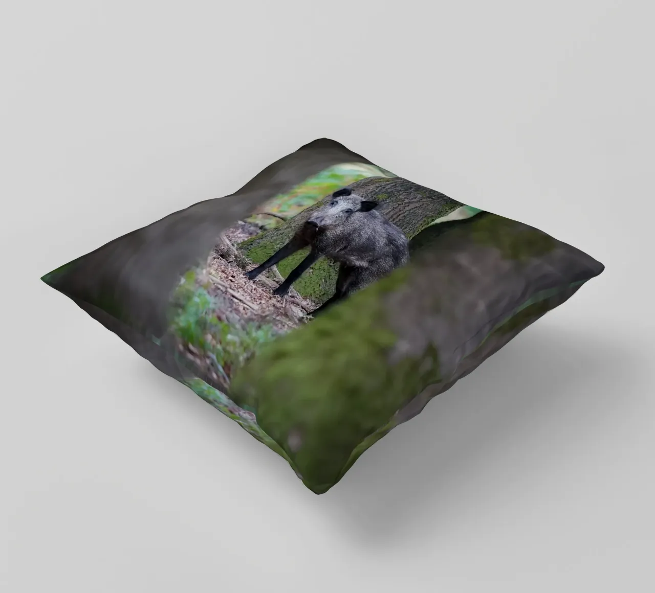 Cinghiale cuscino da Tom's Wildlife