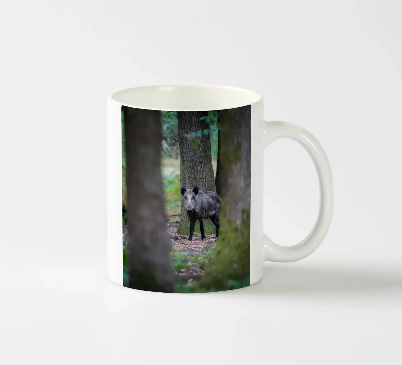Cinghiale tazza in ceramica da Tom's Wildlife