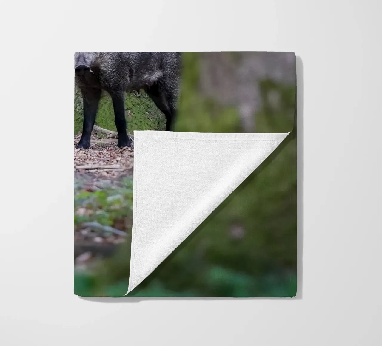 Cinghiale telo mare da Tom's Wildlife